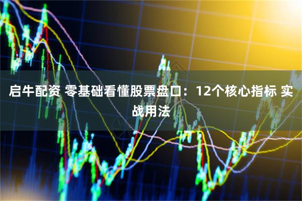 启牛配资 零基础看懂股票盘口：12个核心指标 实战用法