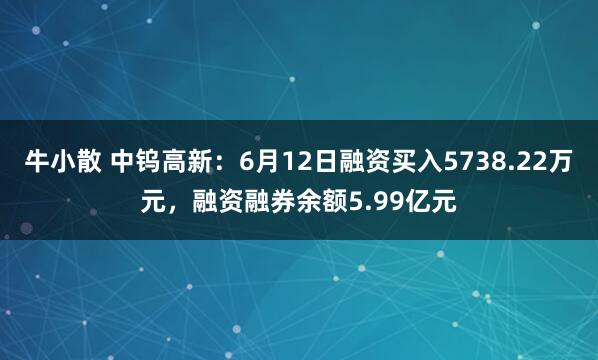 牛小散 中钨高新：6月12日融资买入5738.22万元，融资融券余额5.99亿元